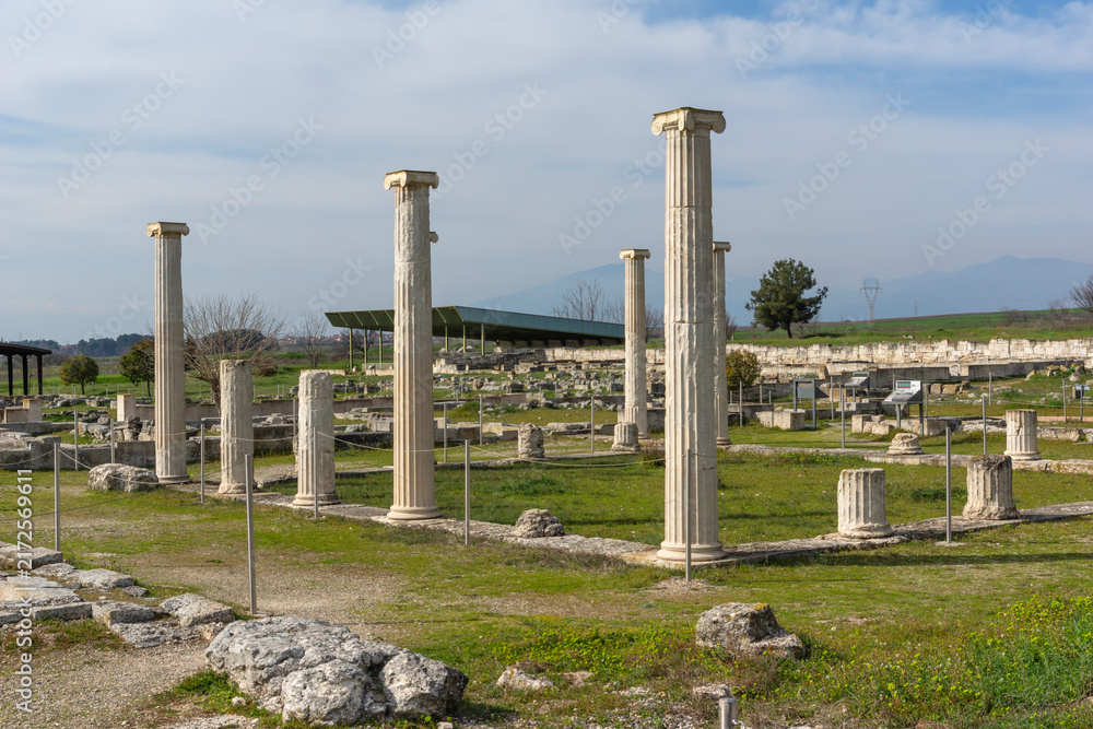 Fototapeta premium Ruins of Ancient Macedonian capital Pella, Greece