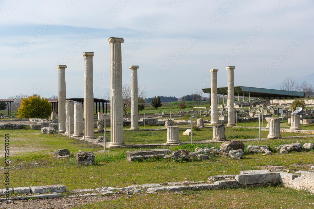 Naklejka premium Ruins of Ancient Macedonian capital Pella, Greece