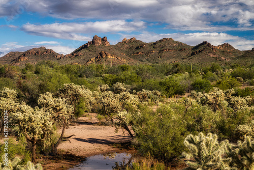 A cloudy desert sky