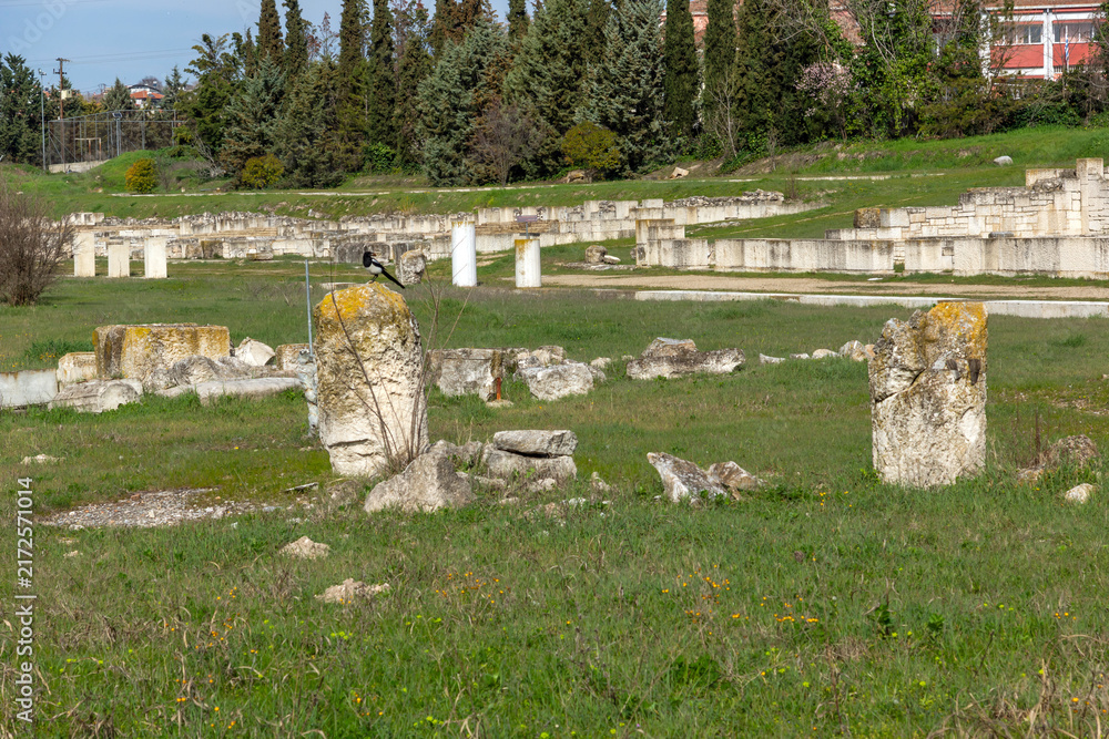 Naklejka premium Ruins of Ancient Macedonian capital Pella, Greece