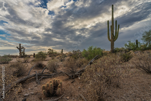 A cloudy desert sky