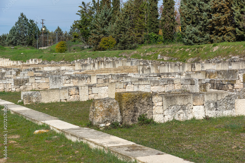 Fototapeta premium Ruins of Ancient Macedonian capital Pella, Greece