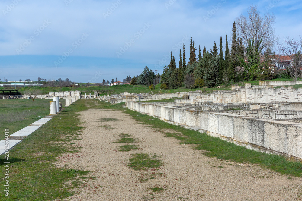 Fototapeta premium Ruins of Ancient Macedonian capital Pella, Greece