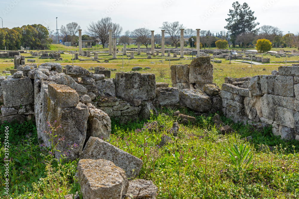 Fototapeta premium Ruins of Ancient Macedonian capital Pella, Greece