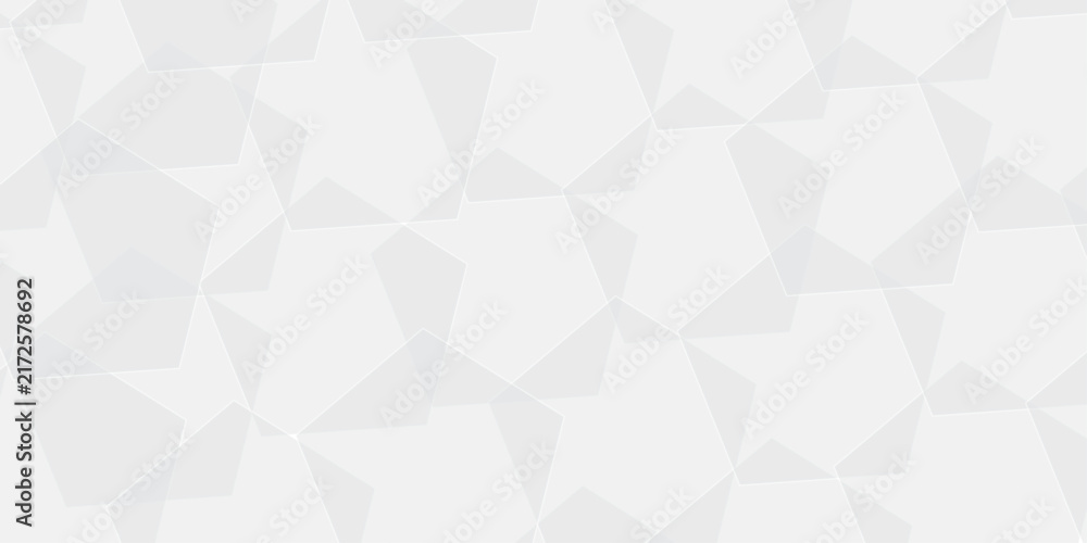 Obraz premium Abstract white and gray gradient paper polygon wallpaper. geometric rectangle overlapping with technology transparent lines. minimal digital triangle concept square space layer template background.