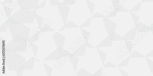 Abstract white and gray gradient paper polygon wallpaper. geometric rectangle overlapping with technology transparent lines. minimal digital triangle  concept square space layer template background.