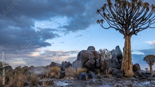 Twilight sky over rocky hills and sparse desert vegetation
