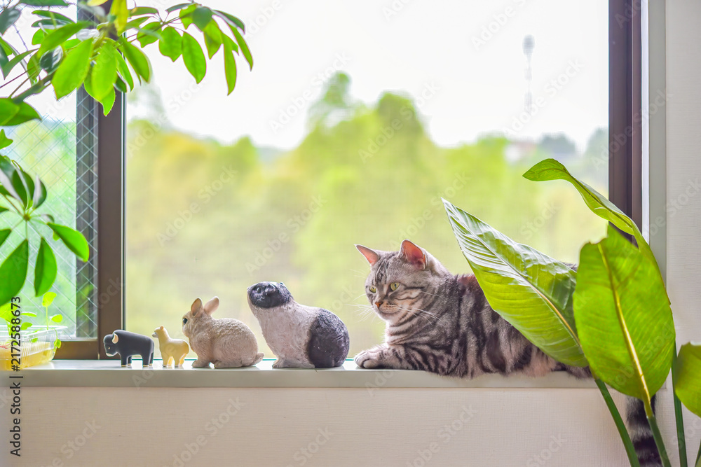 Naklejka premium 窓辺で動物のミニチュア達と並んでくつろぐ猫