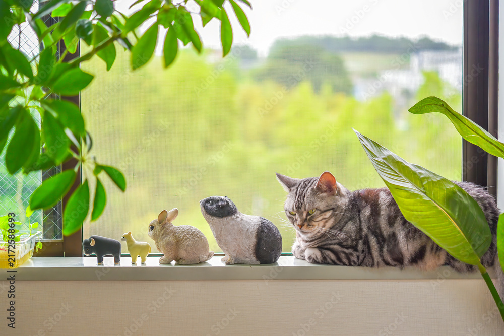 Naklejka premium 窓辺で動物のミニチュア達と並んでくつろぐ猫