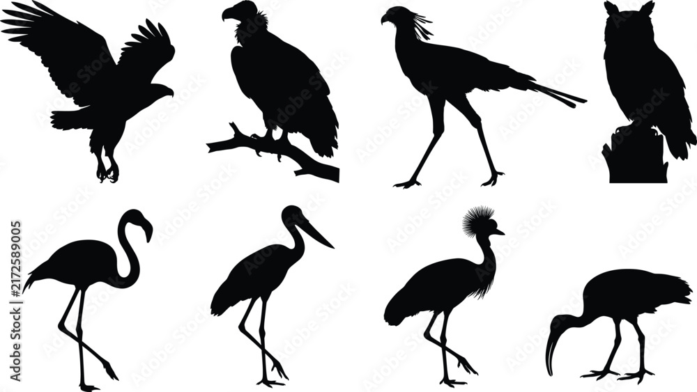 Naklejka premium Black Bird Silhouettes of Eagle Vulture Owl Flamingo Heron and Crane