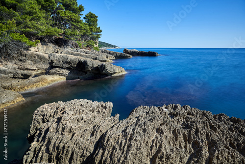 Tapety artystyczne Rocky cliff on the Adriatic coast with coniferous stone pine trees