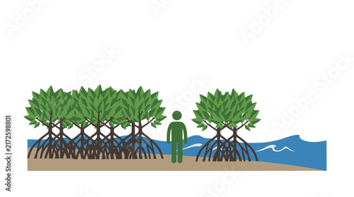 Flat Vector Illustration of a Person Standing Beside Lush Mangrove Trees on a Sandy Coastline for Environmental Conservation