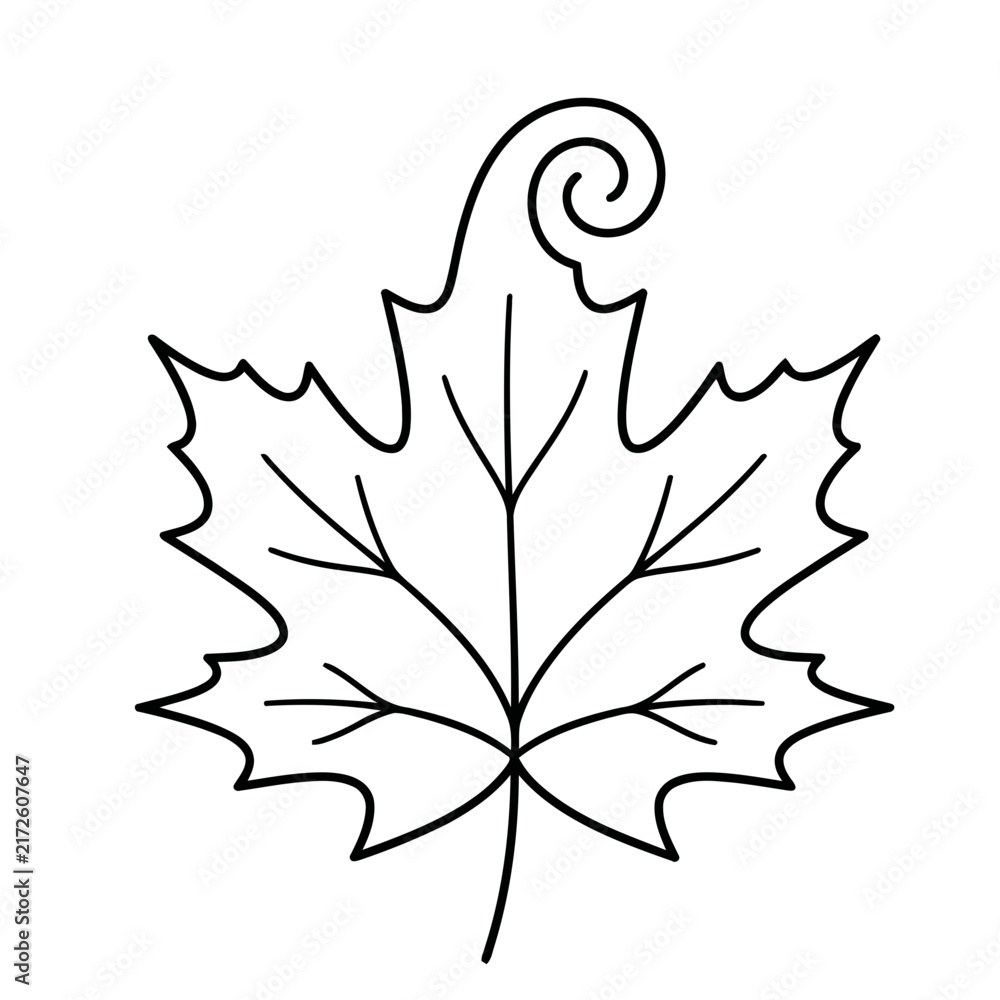 Naklejka premium Outline of a Maple Leaf with a Swirl