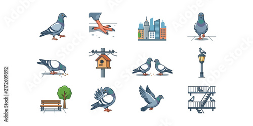 Set of Pigeon Illustrations in Various Urban Environments.