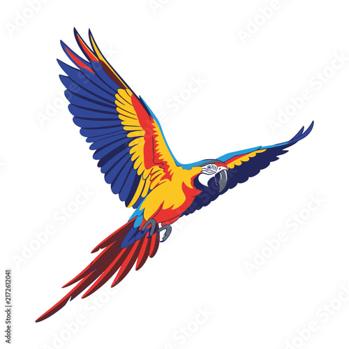 Colorful Macaw Parrot Flying Isolated