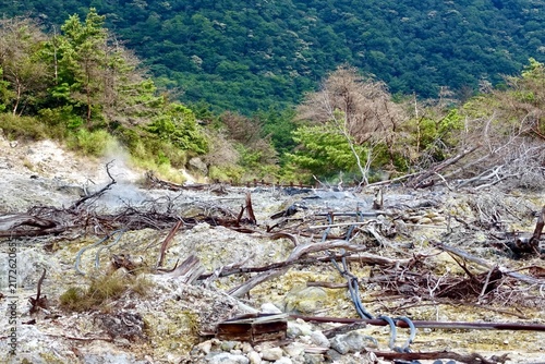 Foto Geothermal steam rising from sulfur ground with dead trees and pipes in Unzen, N