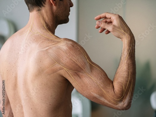 Conceptual Human Nervous System Overlay on Male Upper Body