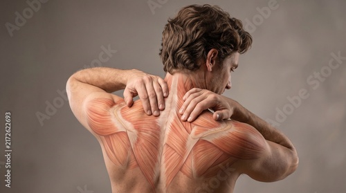 Male Neck and Shoulder Muscle Anatomy for Medical Education