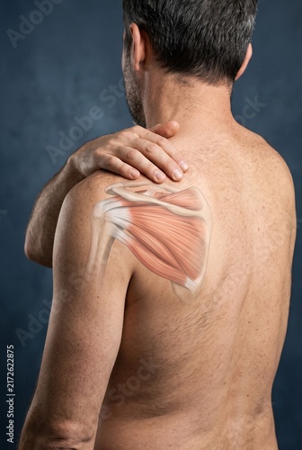 Shoulder Anatomy and Rotator Cuff Muscle Pain Concept