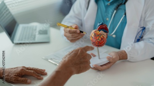 Картината върху платно Doctor Holding Human Heart Model Explaining Cardiology Disease and Treatment to