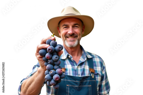 Farmer holds a bunch of ripe grapes