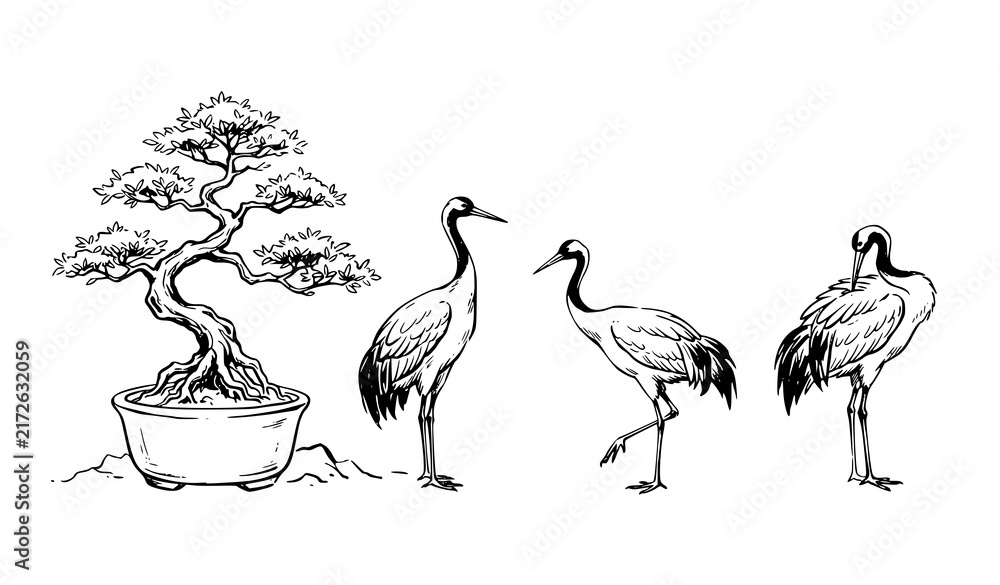 Naklejka premium Bonsai Tree and Japanese Crane Birds Traditional Hand Drawn Ink Vector