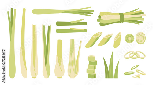 Set of fresh lemongrass stalks and slices, organic aromatic herbs for cooking, healthy culinary ingredient, vector illustration for menu design