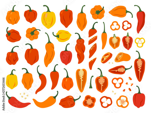 Set of assorted chili peppers in various shapes and sizes, flat illustrations featuring vibrant colors, spicy food cooking ingredients, harvest icons