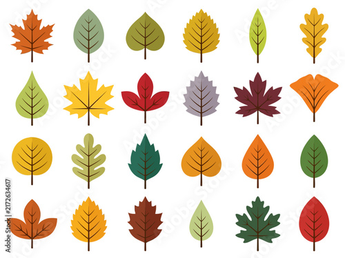 Set of 24 Flat Autumn Leaf Icons - Colorful Vector Foliage Collection