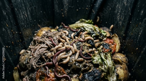 A close up view of maggots and worms crawling on rotting food scraps inside a garbage bin.