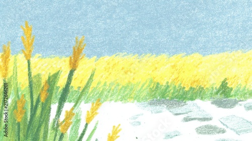 Digital painting of a sunny wheat field with a stone pathway and blue sky background.