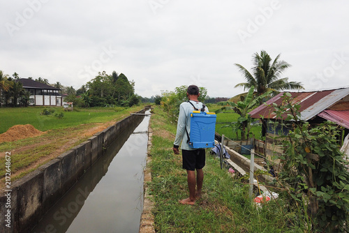 Obraz na plátne Person Spraying Weeds Near a Rice Field