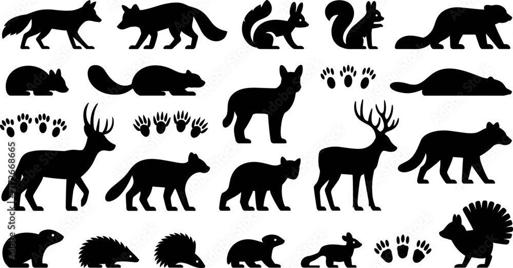 Fototapeta premium Forest Wild Animal Silhouette Icon Set with Paw Print Symbols for Fox, Deer, Squirrel, and Turkey Designs