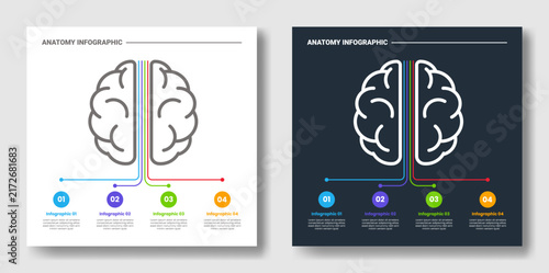anatomy infographic template with brain hemisphere leader line diagram, white and dark version, flat style