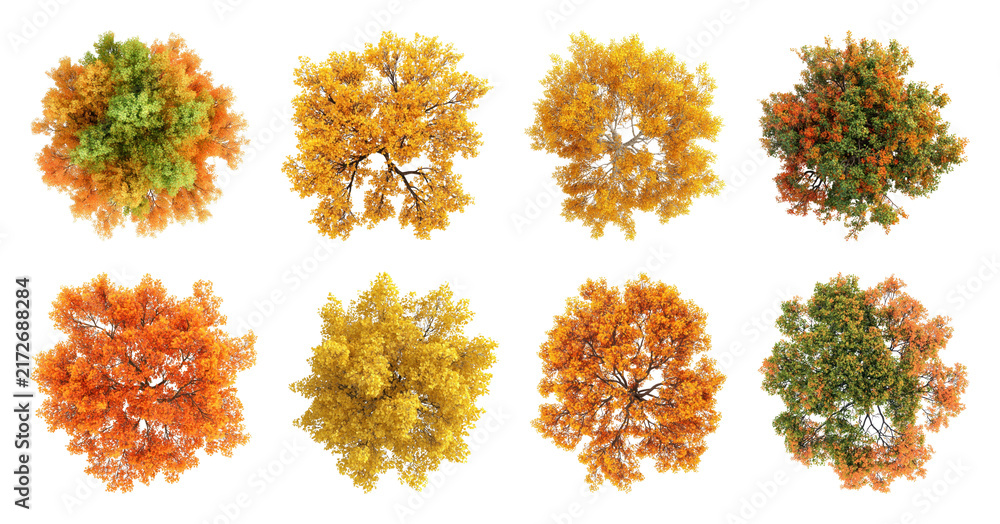 Obraz premium PNG Top view of vibrant autumn trees in various colors, transparent background
