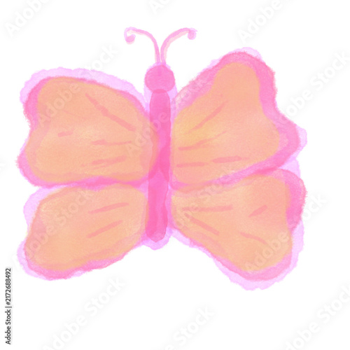 butterfly isolated on white