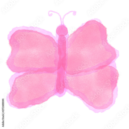 butterfly isolated on white