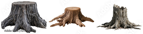 Konstfotografi Three different tree stumps isolated on a white background