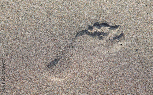 Top view of a single human footprint in fine beach sand, creating a simple natural texture and coastal background.