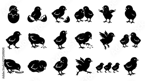 Collection of charming chick silhouette illustrations, depicting various poses and activities of young birds in a playful, graphic style
