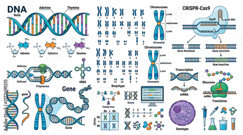 Comprehensive Educational Infographic Illustrating DNA Structure, Genetic Engineering, and Genomic Processes in a Vector Collection