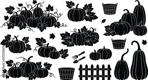 Autumn pumpkin patch harvest vector silhouette icon set with organic gourd vine and wooden fence elements
