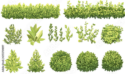 Premium isolated green trees, leafy plants, and ornamental shrubs on a white background for graphic designers