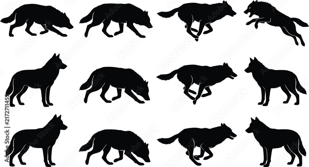 Obraz premium Wolf Silhouettes Depicting Standing, Walking, Running, Crouching, and Leaping in Natural Motion