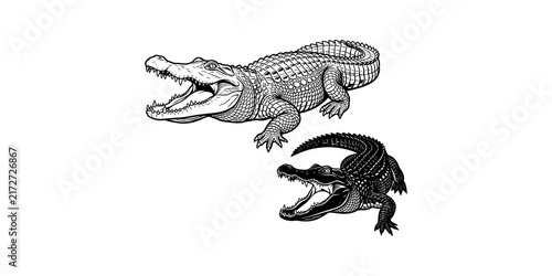Canvastavla Detailed black and white alligator illustrations, showcasing two different styles with open jaws, suitable for wildlife themes