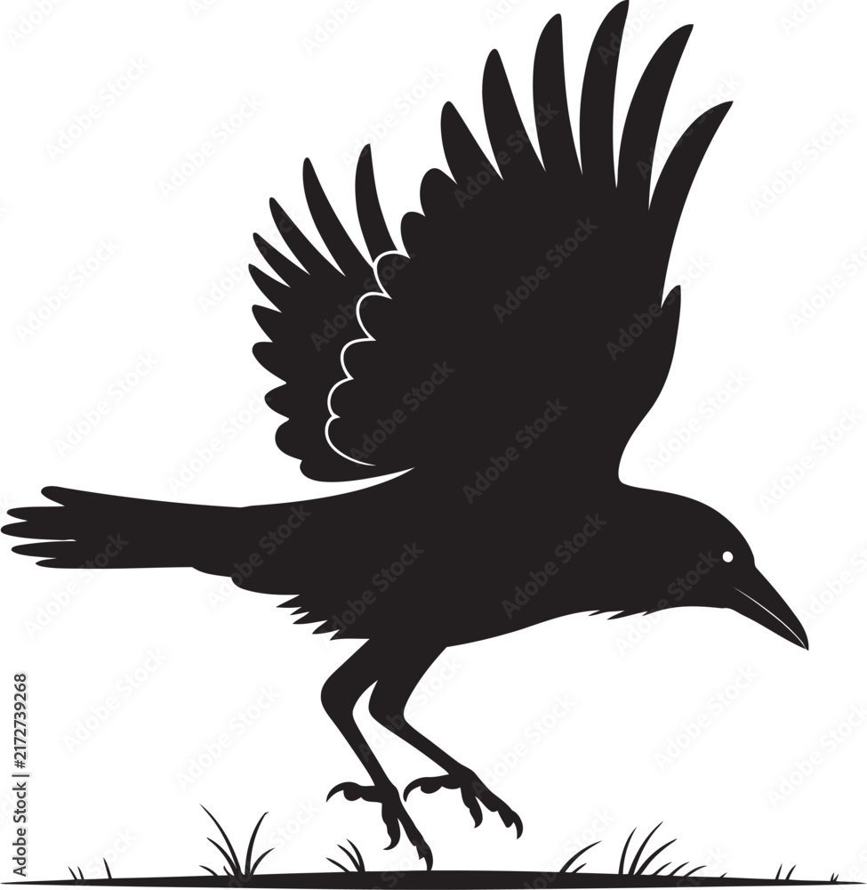 Naklejka premium A detailed black silhouette illustration of a crow bird in motion as it begins to take flight from the grass.