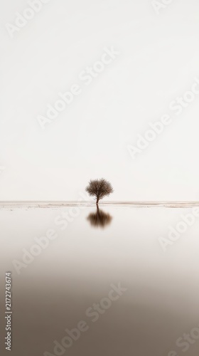 Solitary tree reflected in a flooded landscape.