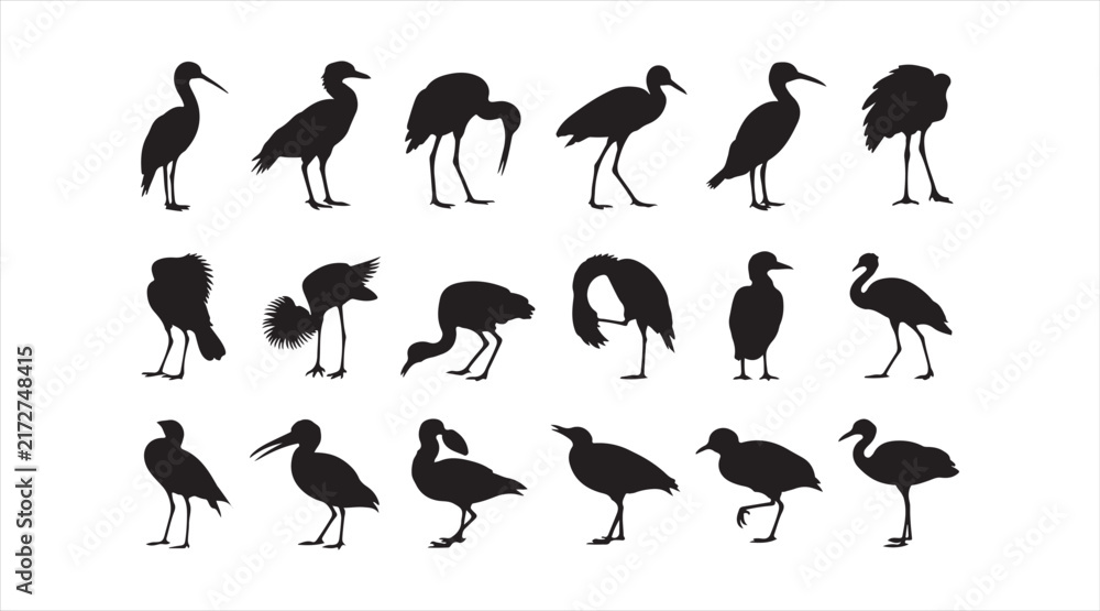 Naklejka premium Various bird silhouettes isolated on white background