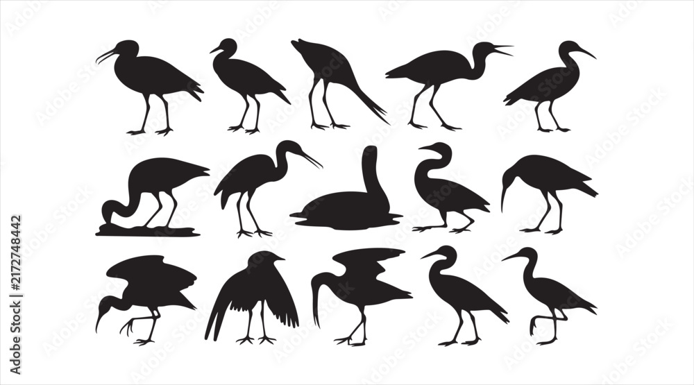 Naklejka premium Set of bird silhouettes in different poses
