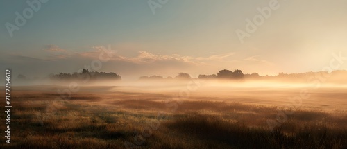 Golden Sun Rays Breaking Through Mist Over an Autumn Field